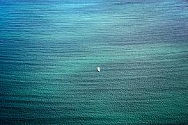 Photo Seul sur la côte d'Emeraude • Saint Briac sur mer
