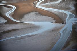 Lignes sinueuses d’eau claire sur le sable humide de la baie du Mont Saint Michel avec une colonie d’oiseaux blancs