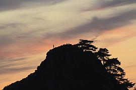 Silhouettes d’arbres et de promeneurs au sommet du Castel à Trébeurden sur un ciel de coucher de soleil orange et rose.