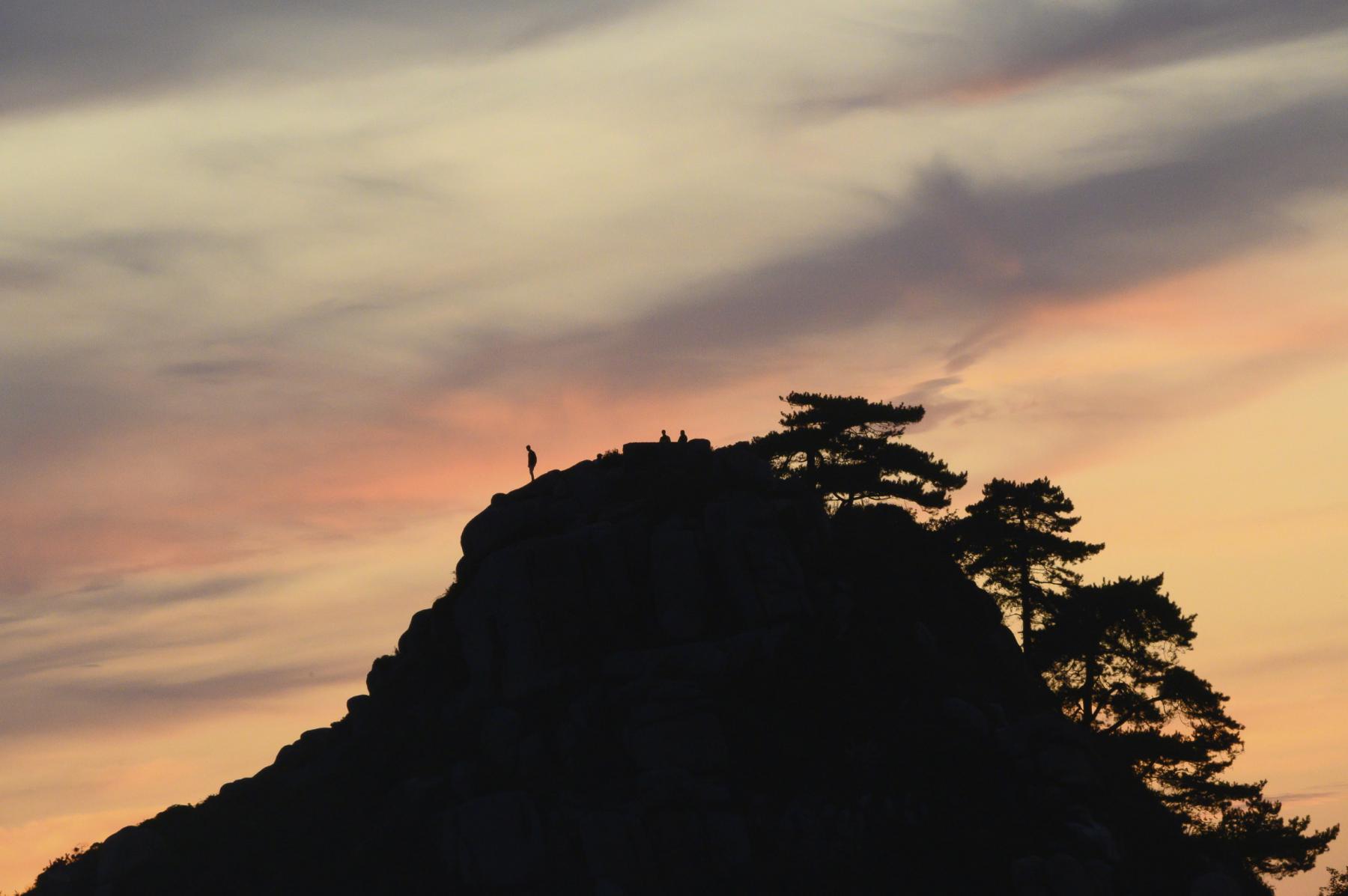 Silhouettes d’arbres et de promeneurs au sommet du Castel à Trébeurden sur un ciel de coucher de soleil orange et rose.