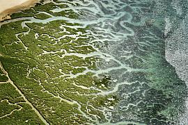 Photographie Poésie graphique du havre du Lupin à Rothéneuf qui révèle les entrelacs naturels et les bras de mer, dessinés par la mer et les herbus.