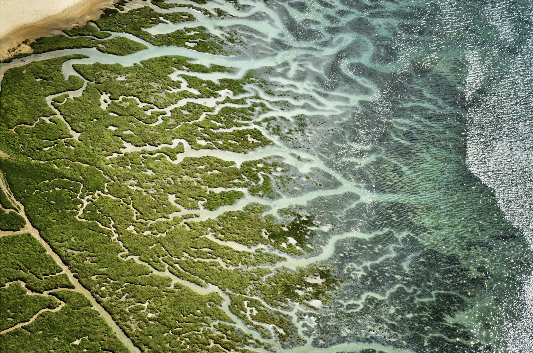 Photographie Poésie graphique du havre du Lupin à Rothéneuf qui révèle les entrelacs naturels et les bras de mer, dessinés par la mer et les herbus.