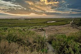 Photographie Une immersion au cœur des paysages préservés de Loire-Atlantique où la lumière rasante sublime les textures des marais salants du Traict.
