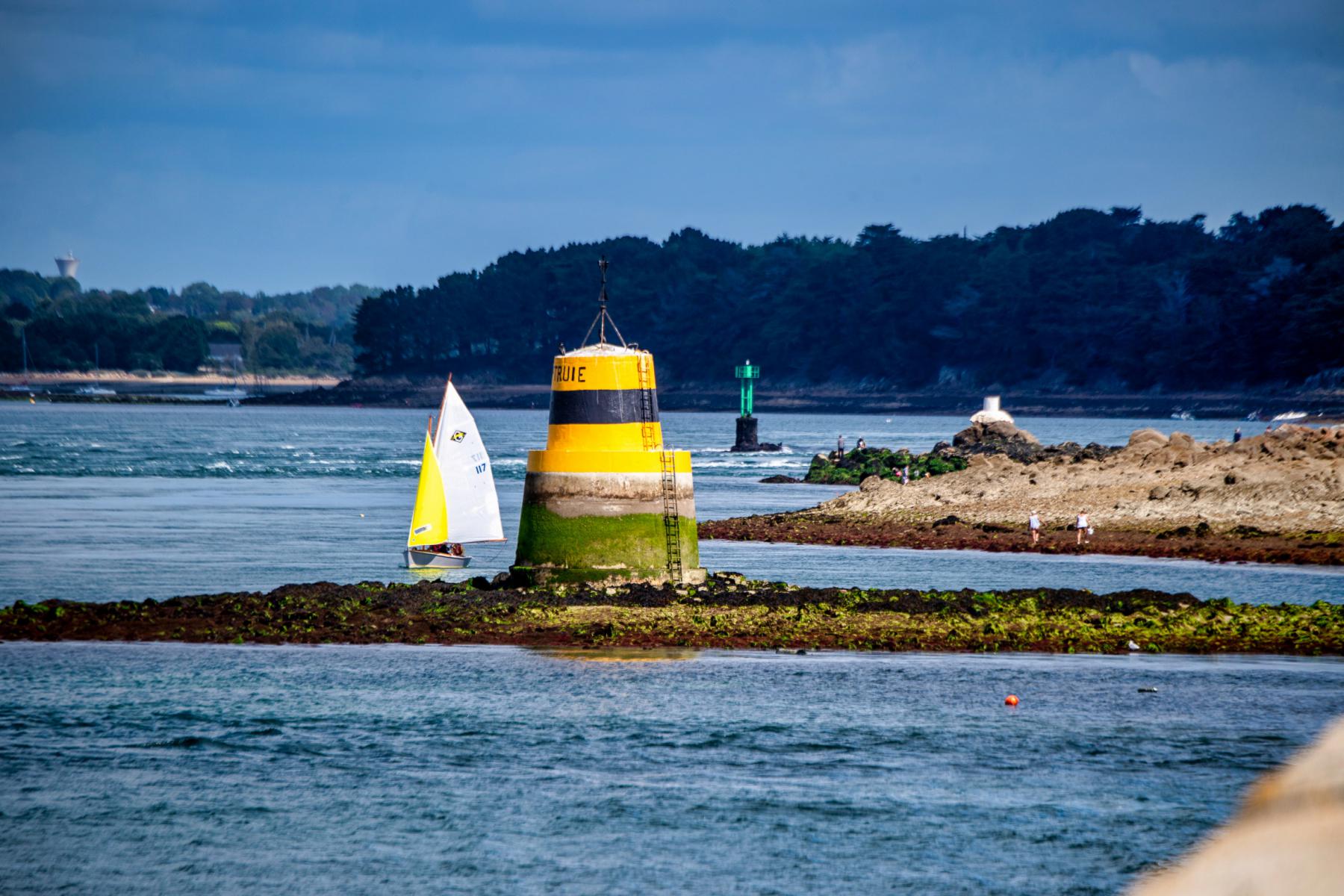 Balise jaune et noire La Truie avec un voilier Guépard aux voiles blanches et jaunes dans le Golfe du Morbihan à Arzon.