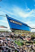 Barque en bois bleue immatriculée VA 688634 échouée sur l’herbe et les feuilles mortes sous un ciel bleu dégagé à Baden.