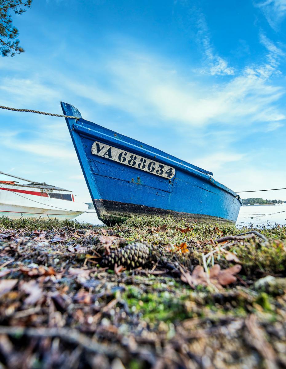 Barque en bois bleue immatriculée VA 688634 échouée sur l’herbe et les feuilles mortes sous un ciel bleu dégagé à Baden.