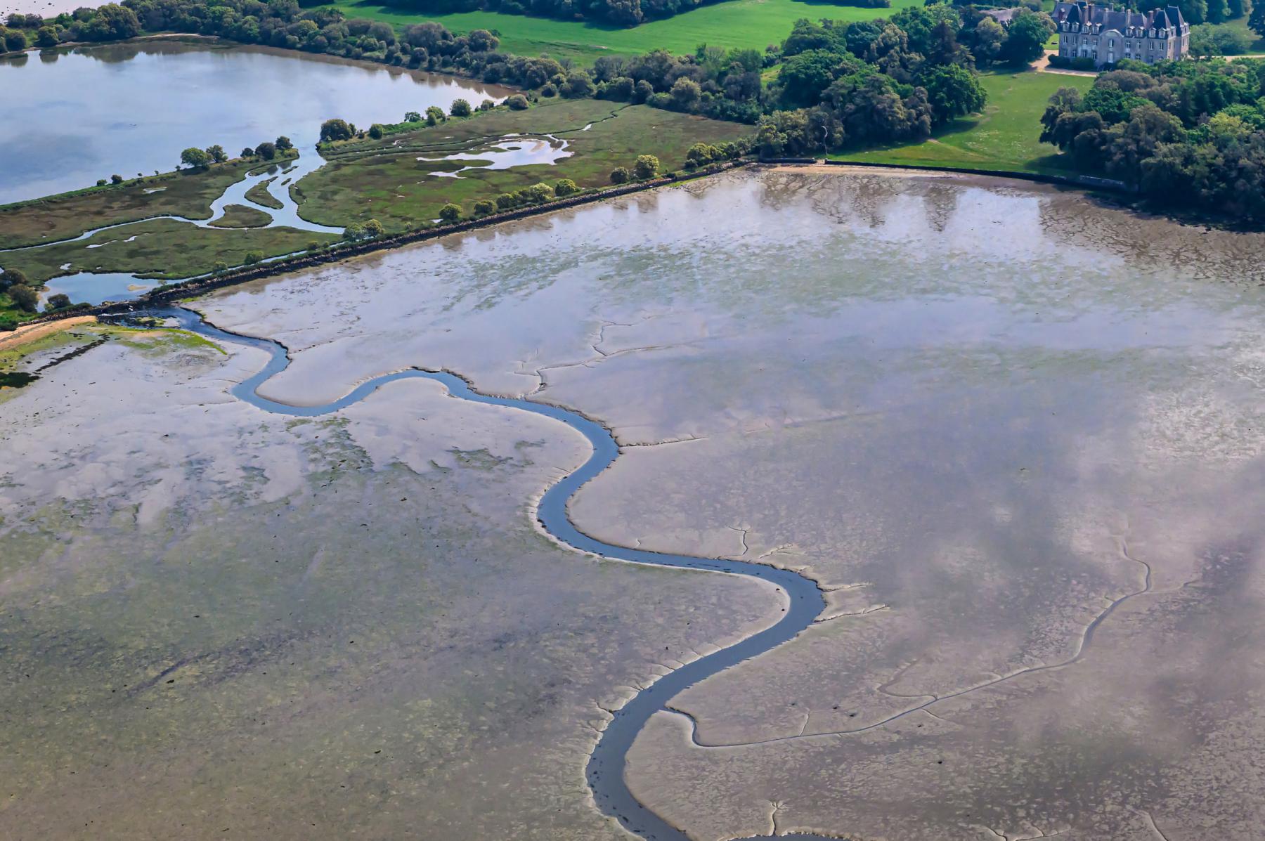 Méandre d’eau serpentant dans la vasière du Golfe du Morbihan devant le château de Truscat à marée basse sous une lumière douce.