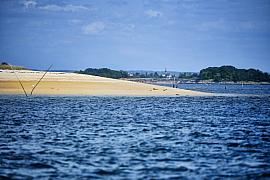 Étendue de sable blond bordée par les eaux bleues du Golfe du Morbihan sous un ciel azur avec une côte boisée au loin.