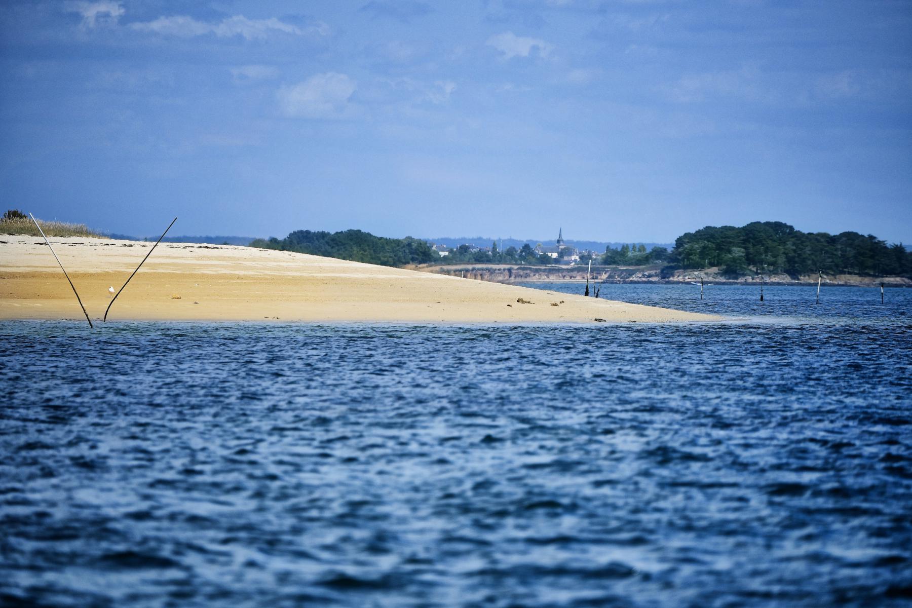 Étendue de sable blond bordée par les eaux bleues du Golfe du Morbihan sous un ciel azur avec une côte boisée au loin.