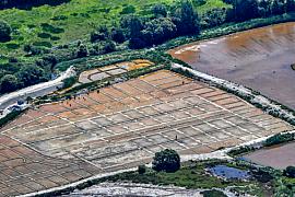 Vue aérienne d’un quadrillage de bassins de marais salants entourés de végétation verte à Sarzeau dans le Morbihan.