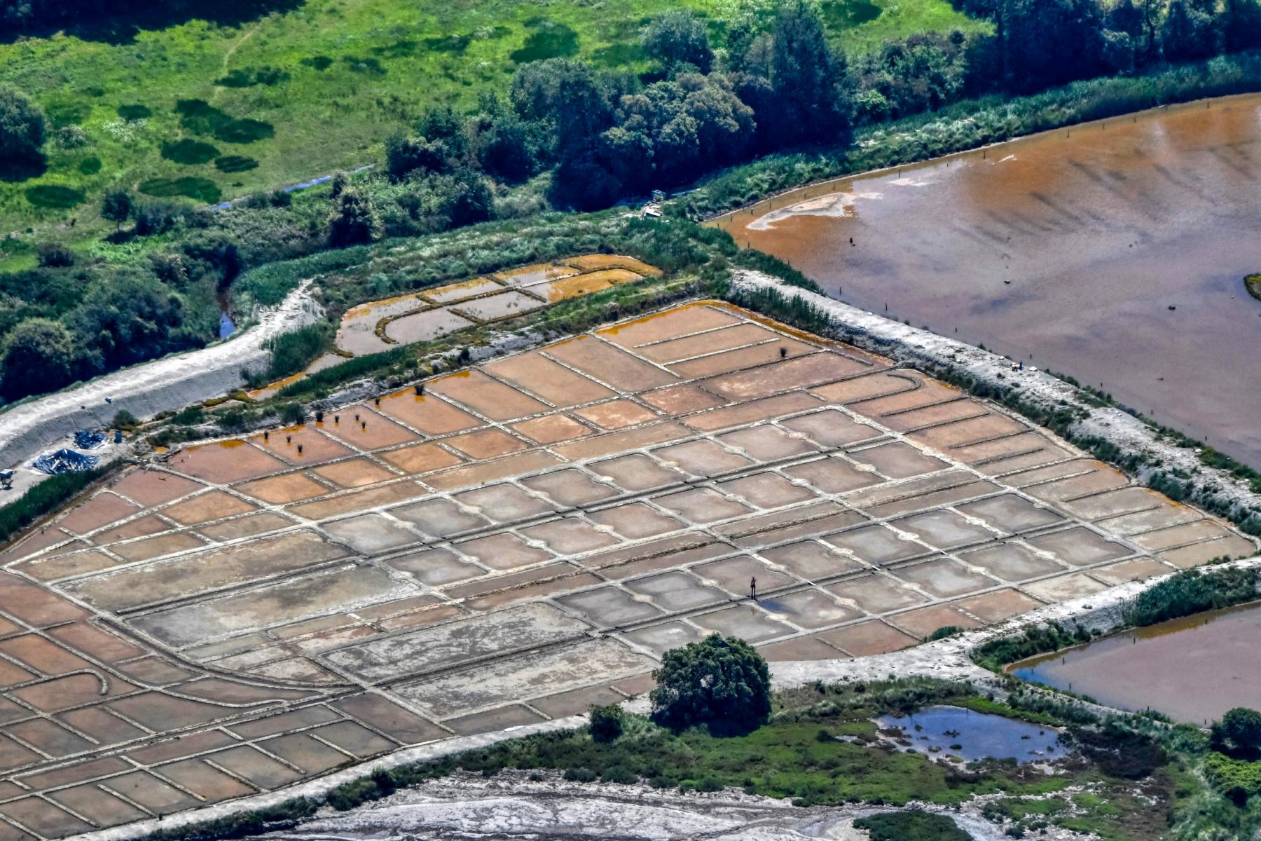 Vue aérienne d’un quadrillage de bassins de marais salants entourés de végétation verte à Sarzeau dans le Morbihan.