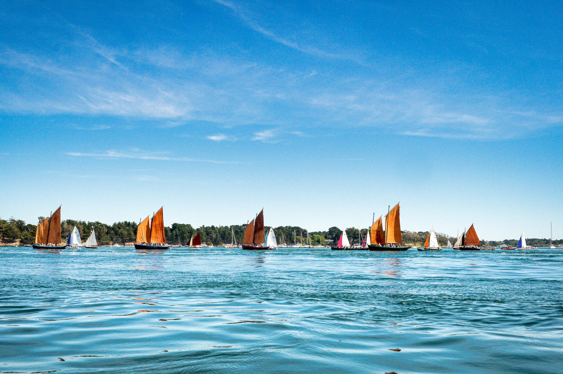 Photographie La grande parade des Sinagots à Séné, bateaux emblématiques du Golfe du Morbihan qui témoignent patrimoine maritime breton.