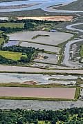 Vue aérienne de bassins rectangulaires d’un marais entourés de verdure sous une lumière naturelle douce en Bretagne.