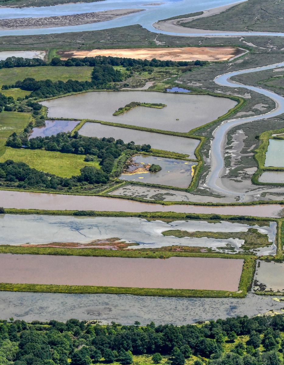 Vue aérienne de bassins rectangulaires d’un marais entourés de verdure sous une lumière naturelle douce en Bretagne.