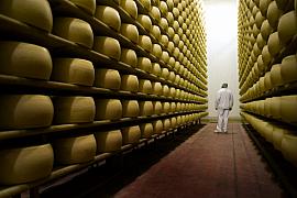 Perspective de meules de fromage sur des étagères en bois dans une cave d’affinage avec un employé en tenue blanche