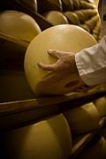 Main d’un affineur saisissant une meule de fromage sur une étagère en bois dans une cave d’affinage bretonne.