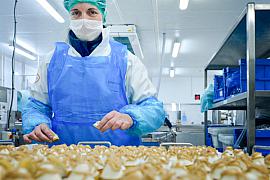 Employée en tenue d’hygiène manipulant des mignardises sur un plan de travail industriel
