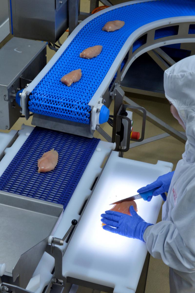 Opérateur ganté découpant un filet de poulet sur une table lumineuse près d’un convoyeur bleu en usine agroalimentaire.