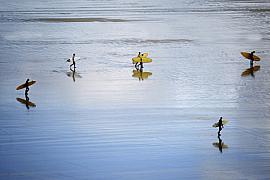 Surfeurs avec planches jaunes marchant sur le sable humide et brillant reflétant le ciel à la plage de Goulien.