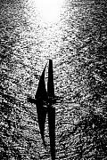 Silhouette noire d’un trimaran Multi 50 naviguant sur une mer scintillante en contre-jour noir et blanc contrasté.