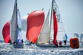 Voiliers J80 avec spinnakers rouges déployés en pleine régate sous une lumière vive en Baie de Quiberon.