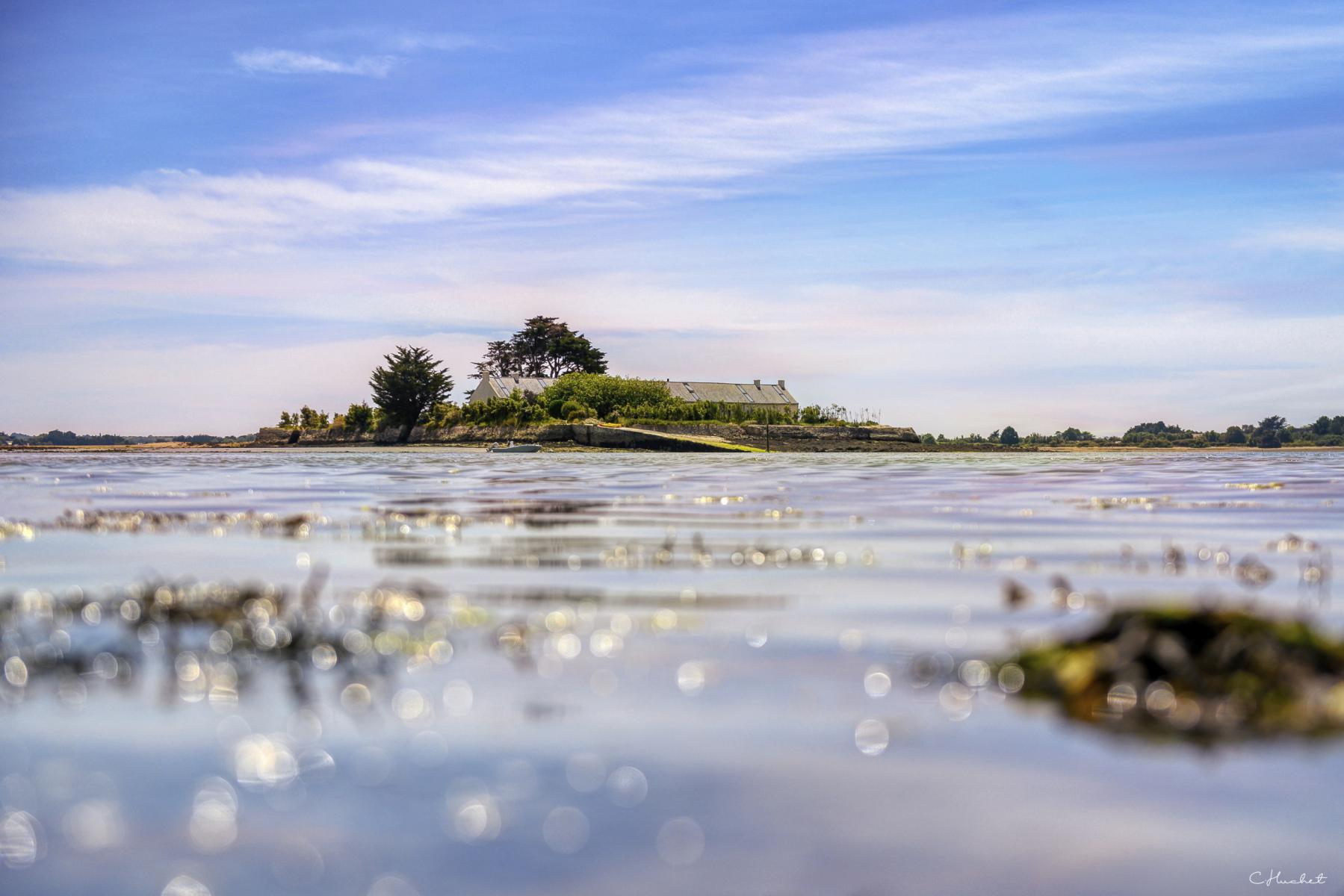 Petite île avec une maison et des arbres vue au ras de l’eau scintillante dans le Golfe du Morbihan en Bretagne.