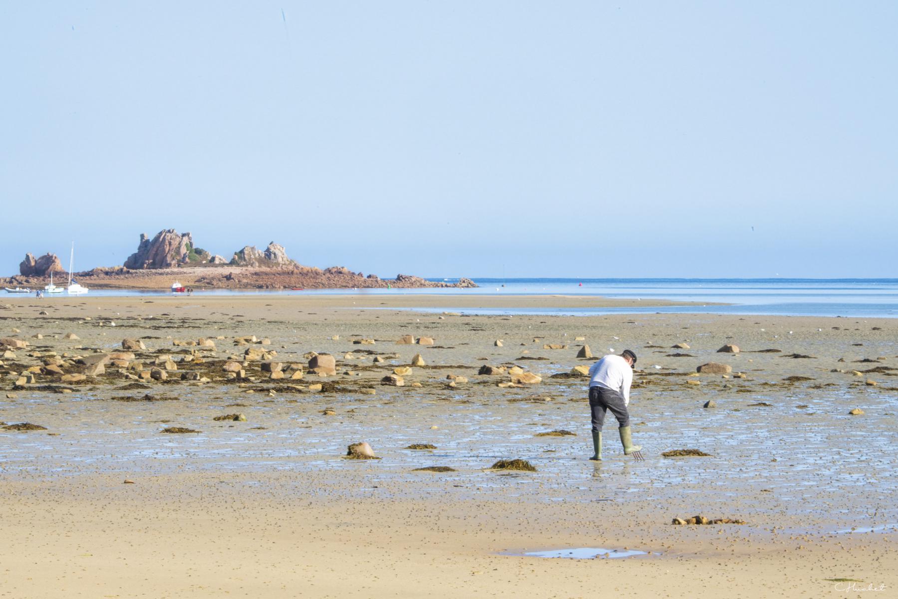 Pêcheur à pied en bottes sur l’estran sablonneux de Port Blanc à marée basse sous un ciel bleu limpide.