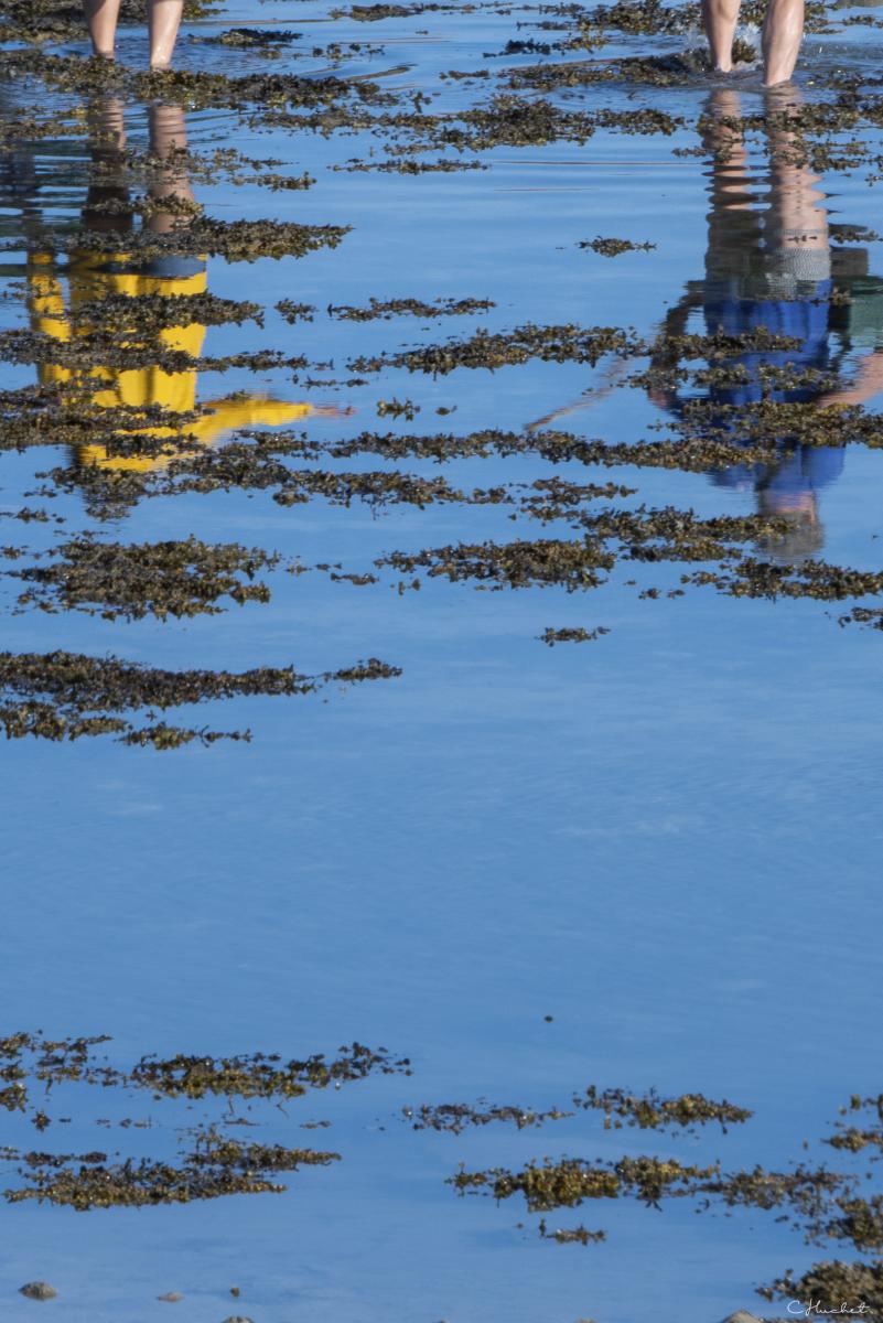 Reflets de jambes de pêcheurs dans l’eau bleue parsemée de varech à Port Blanc lors de la marée basse à Penvenan.