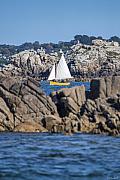 Petit voilier jaune à voile blanche navigant entre des rochers de granit en Bretagne sous un ciel bleu.