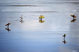 Surfeurs marchant sur le sable humide et miroitant de la plage de Crozon avec leurs planches de surf jaunes.