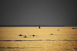 Silhouettes de rameurs en aviron sur une mer dorée au crépuscule face à la côte de Saint-Malo en Ille-et-Vilaine.