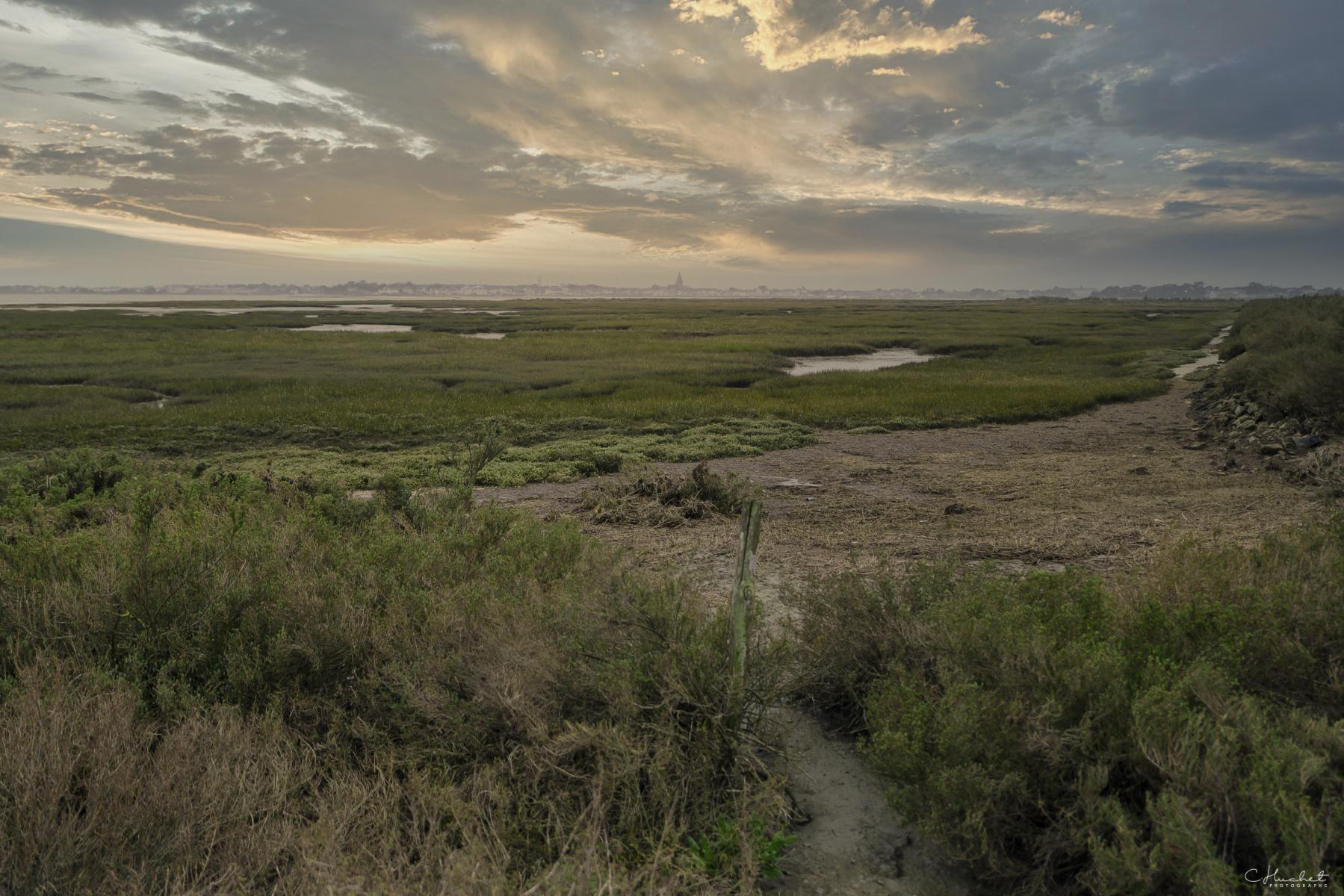 Marais salants du Croisic à marée basse sous un ciel de fin de journée nuageux, herbes sèches et horizon brumeux.