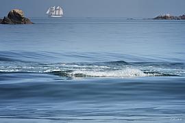 Vagues légères sur une mer bleue calme face à un grand voilier blanc et des rochers aux îles Chausey sous un ciel clair.