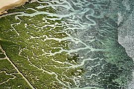Méandres végétaux et eau turquoise au Havre de Rothéneuf. Vue de drone sur les textures naturelles côtières bretonnes.