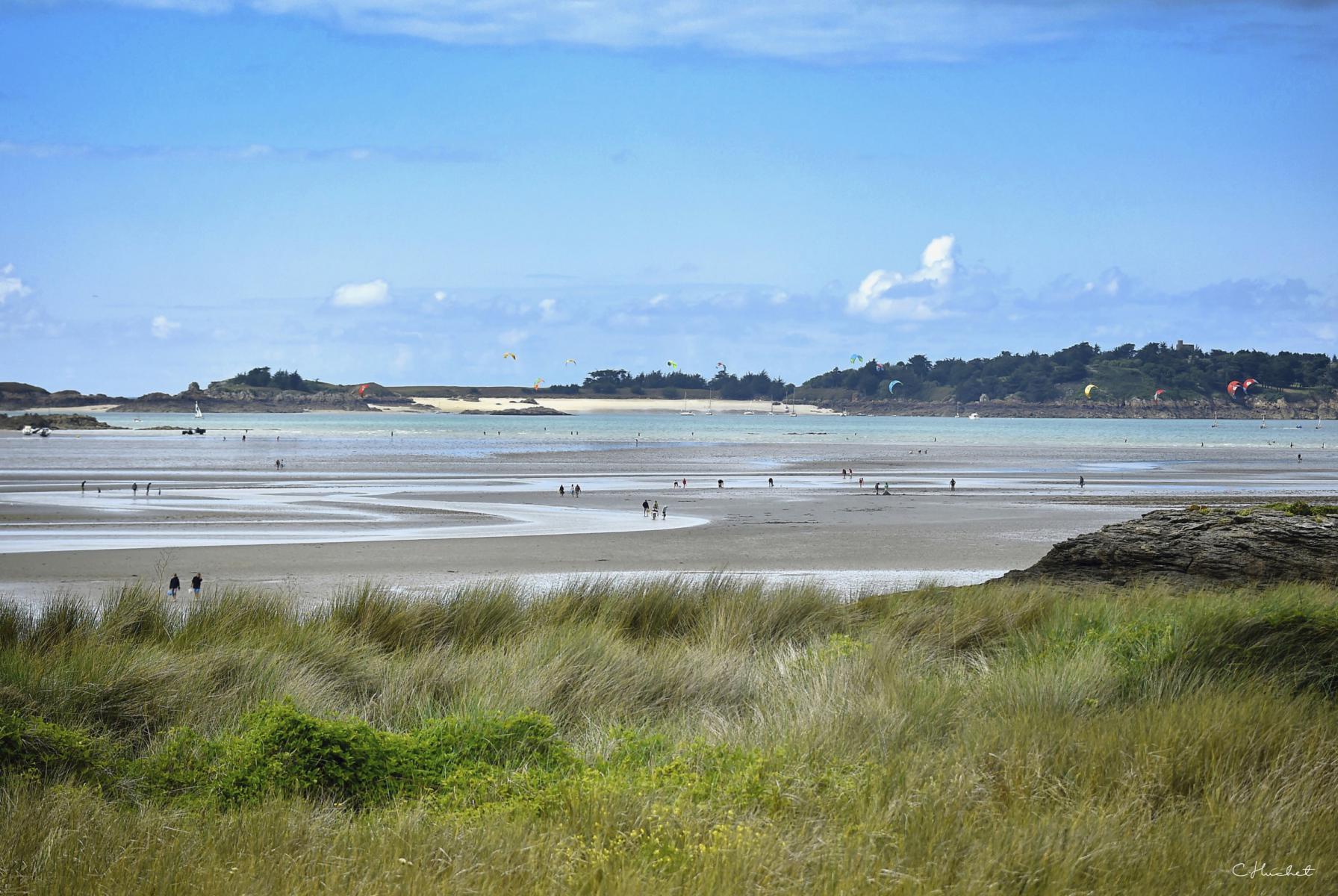Dunes et herbes hautes devant la plage de Lancieux à marée basse. Promeneurs et voiles de kitesurf sous un ciel bleu clair.