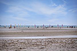 Foule de pêcheurs à pied sur le sable à Lancieux sous un ciel bleu parsemé de voiles colorées à l’horizon.