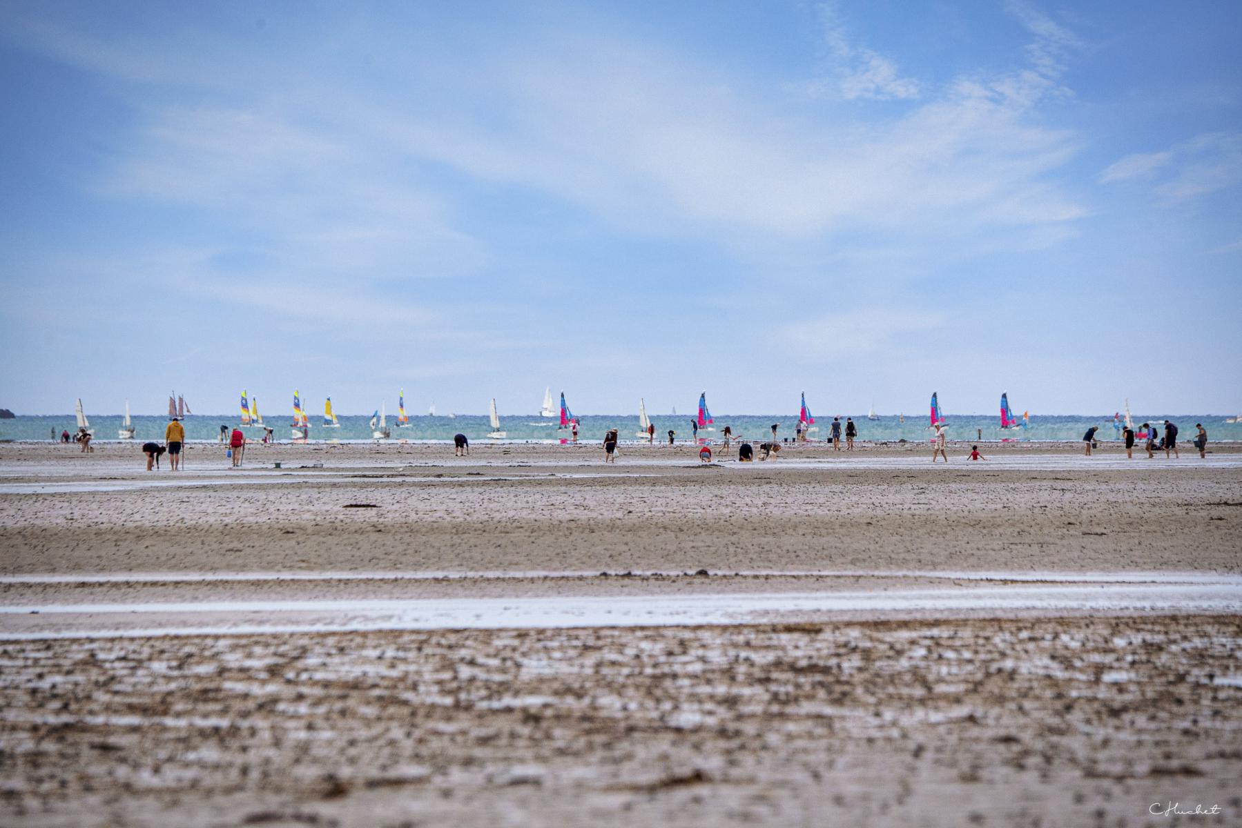 Foule de pêcheurs à pied sur le sable à Lancieux sous un ciel bleu parsemé de voiles colorées à l’horizon.