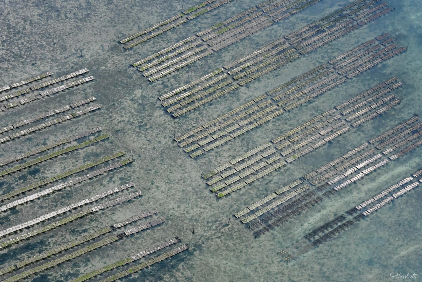 Alignements géométriques de parcs à huîtres sous l’eau claire du Golfe du Morbihan, vue aérienne verticale.