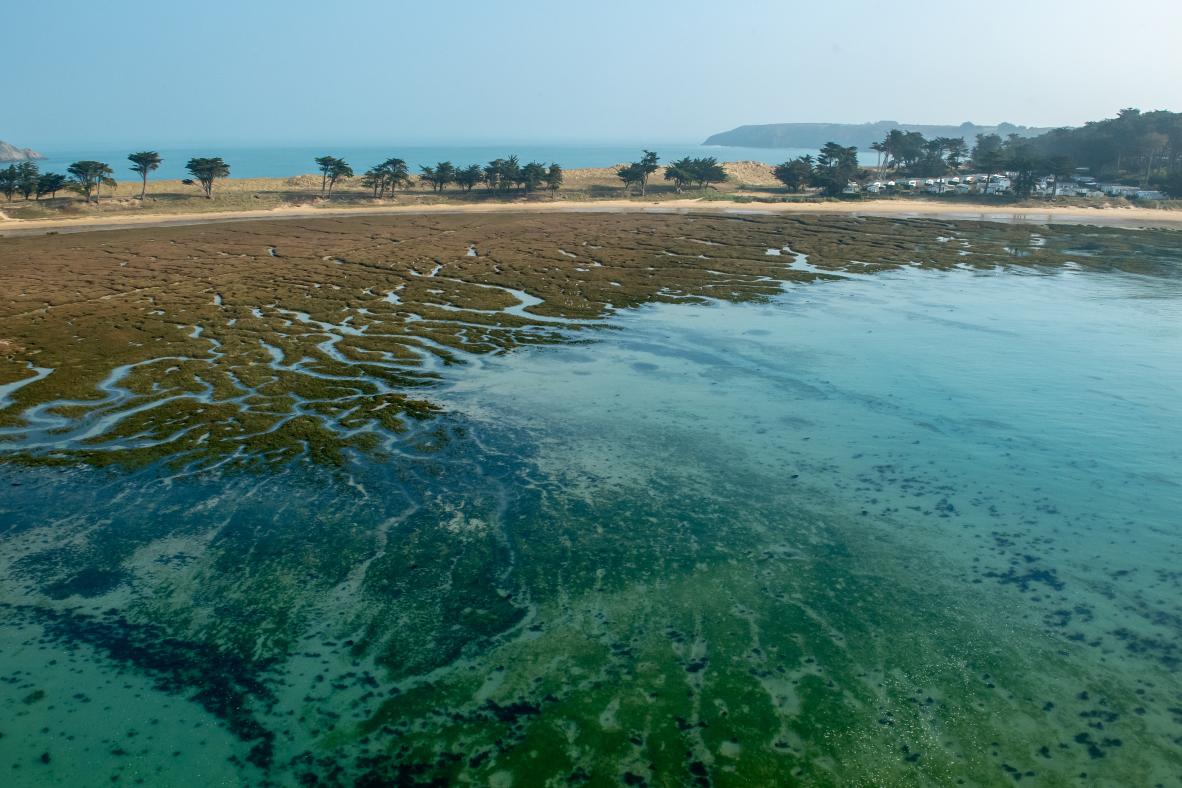 Vue aérienne des polders du Havre du Lupin à Rothéneuf, eaux turquoise et végétation côtière sous une lumière de jour.
