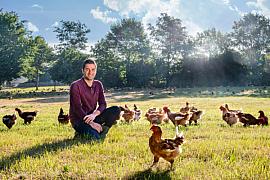 Éleveur de Janzé accroupi au milieu d’un champ de poules rousses en plein air sous une lumière solaire dorée.