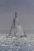 Voilier Cormoran aux voiles blanches avec numéro 297 naviguant sur une mer agitée sous un ciel gris en Bretagne.