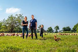 Couple et enfant dans une prairie verte avec de nombreuses poules rousses par temps ensoleillé à Janzé en Bretagne.
