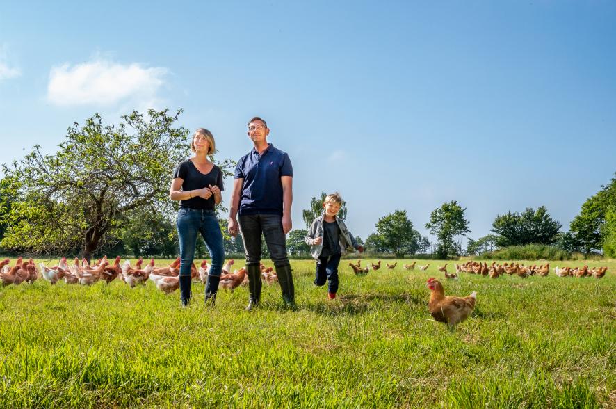 Couple et enfant dans une prairie verte avec de nombreuses poules rousses par temps ensoleillé à Janzé en Bretagne.
