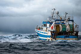 Photographie Reportage photos outdoor et drone en immersion, au cœur de la pêche artisanale Bretonne au départ de Roscoff