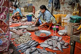Photo Marché aux poissons traditionnel à Rangoun, Birmanie