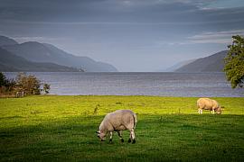 Photo Ecosse - Highlands 
