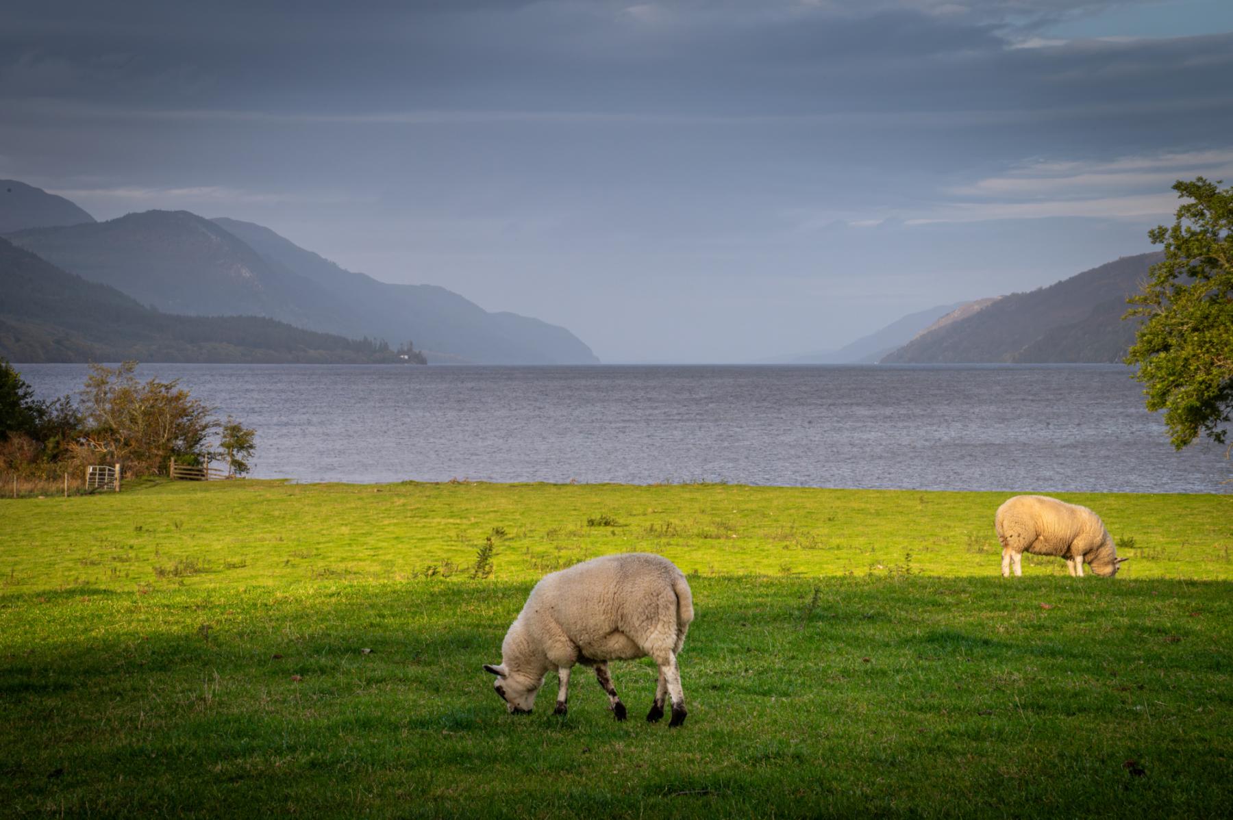 Photo Ecosse - Highlands 