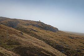 Photo Ecosse 2025 11 Highlands Glencoe A82 2434 BD BD