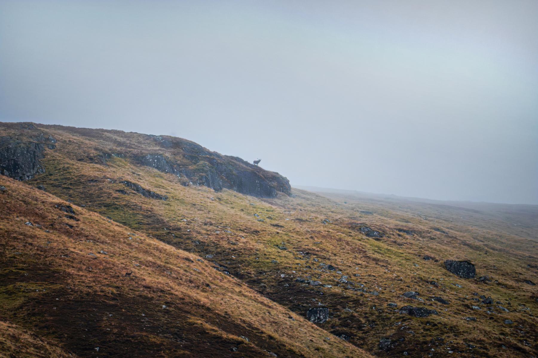 Photo Ecosse - Highlands 