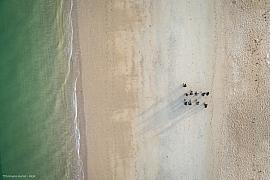 Vue drone zénithale de personnes sur le sable fin bordé d’eau turquoise avec ombres portées allongées